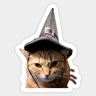 Butterscotch the Witch Sticker